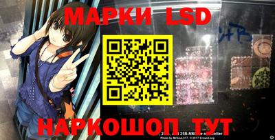 спиды Кингисепп