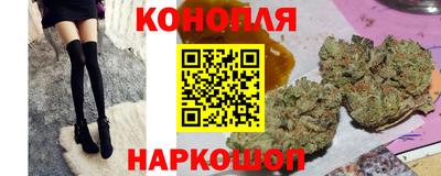 стаф Кимры