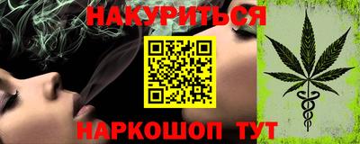 спиды Кингисепп