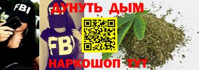 спиды Кингисепп