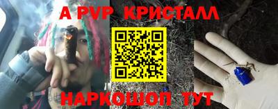 спиды Кингисепп