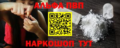 спиды Кингисепп