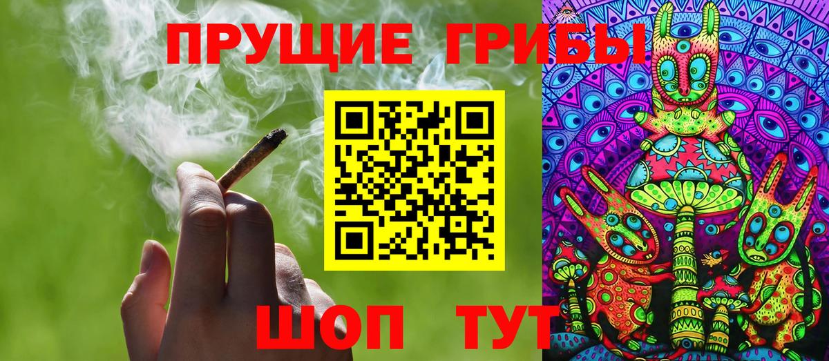 Псилоцибиновые грибы Psilocybe  Вход с VPN  Котельники 