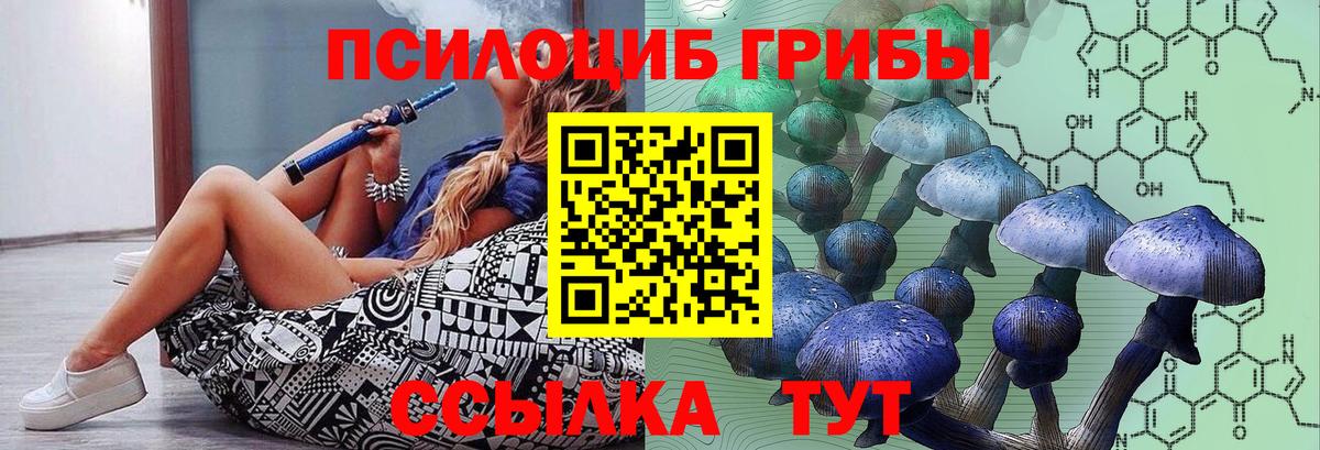 Псилоцибиновые грибы прущие грибы Котельники